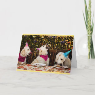 Happy Birthday Golden Retriever Photo Card