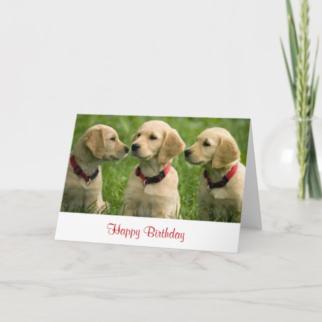Happy Birthday Golden Retriever Puppies Note Card (Front)
