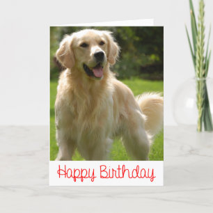 Happy Birthday Golden Retriever Puppy Card