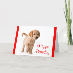 Happy Birthday Golden Retriever Puppy Dog Card