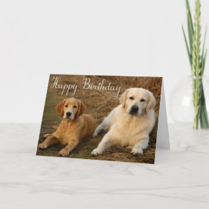 Happy Birthday Golden Retriever Puppy Dog Card
