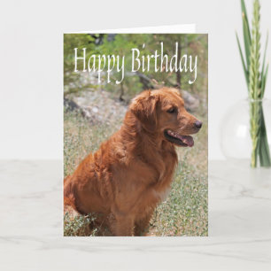 Happy Birthday Golden Retriever Puppy Dog Card