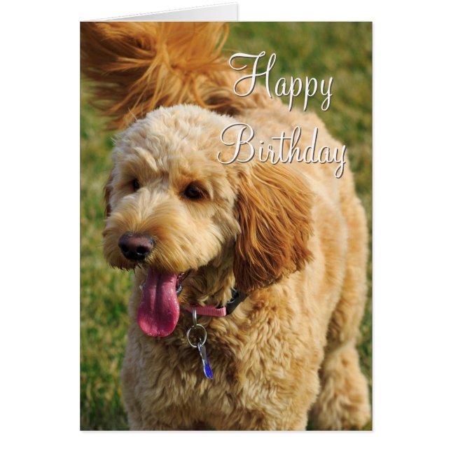 Happy Birthday Goldendoodle Dog (Front)