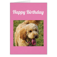 Happy Birthday Goldendoodle Dog Card