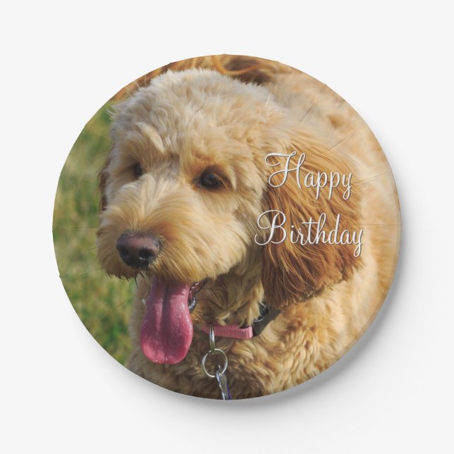 Happy Birthday Goldendoodle Dog Paper Plate (Front)