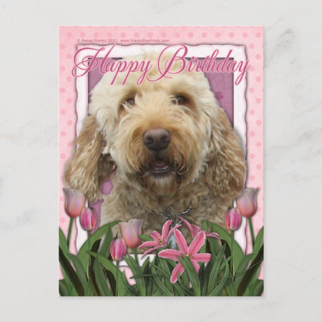 Happy Birthday - Goldendoodle Postcard (Front)