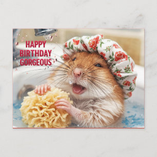 Happy Birthday Gorgeous – Funny Bath Hamster Postcard