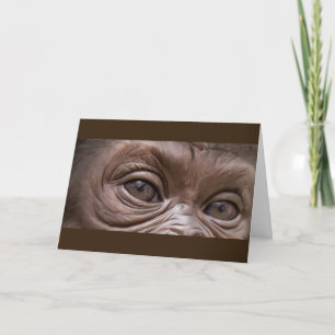 Happy Birthday Gorilla Card