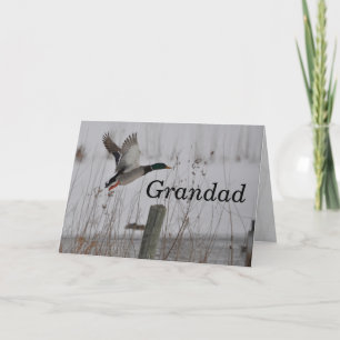Happy Birthday Grandad Card by Janz