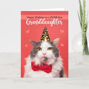 Happy Birthday Granddaughter Cute Cat in Hat Holiday Card