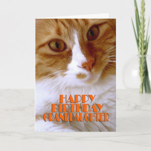 Happy Birthday Granddaughter - Sweet Cat Card
