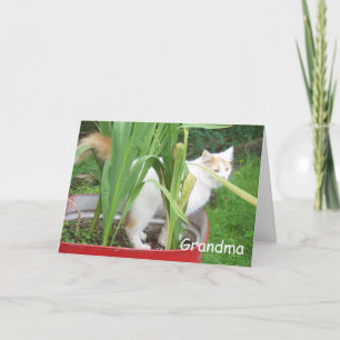 HAPPY BIRTHDAY GRANDMA CARD