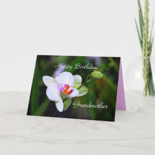 Happy Birthday Grandmother Orchid Card