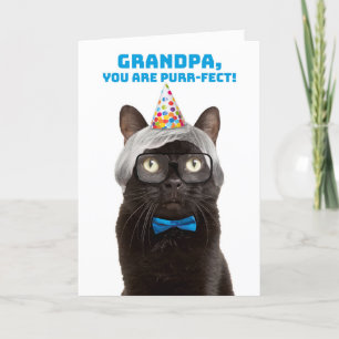 Happy Birthday Grandpa Old Man Cat Humour Holiday Card