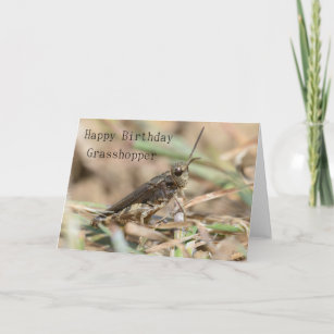 Grasshopper Birthday Gifts & Gift Ideas Decor PillowCase Macro Grasshopper Legs