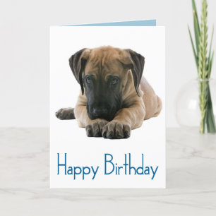 Happy Birthday Great Dane Puppy Dog Card - Verse