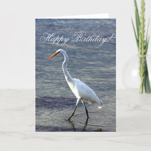 Happy Birthday Great Egret Bird greeting card