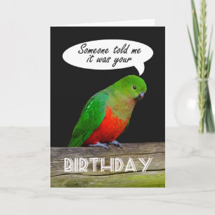 Happy Birthday green and red King Parrot Card
