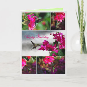 Happy Birthday Green-throated Carib Hummingbird Card