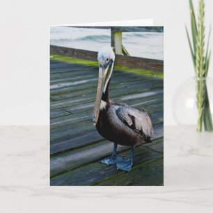 Happy Birthday/Greeting Card