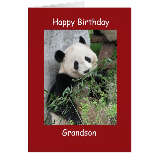 Happy Birthday Greeting Card Giant Panda Grandson
