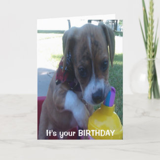 Happy Birthday greeting card puppy drinking