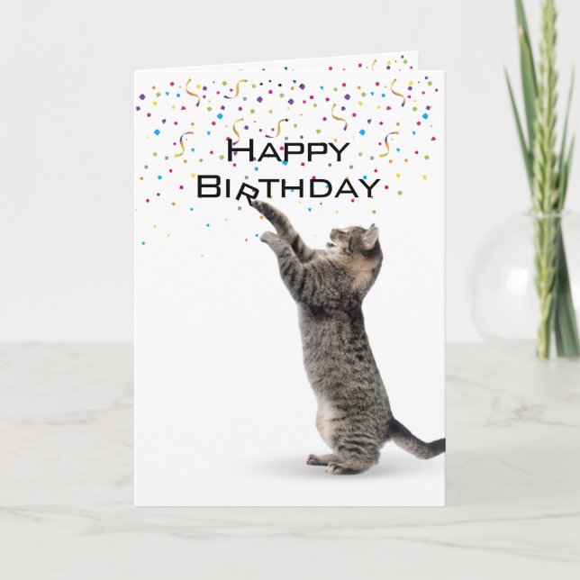 Happy Birthday Grey Tabby Cat Card (Front)