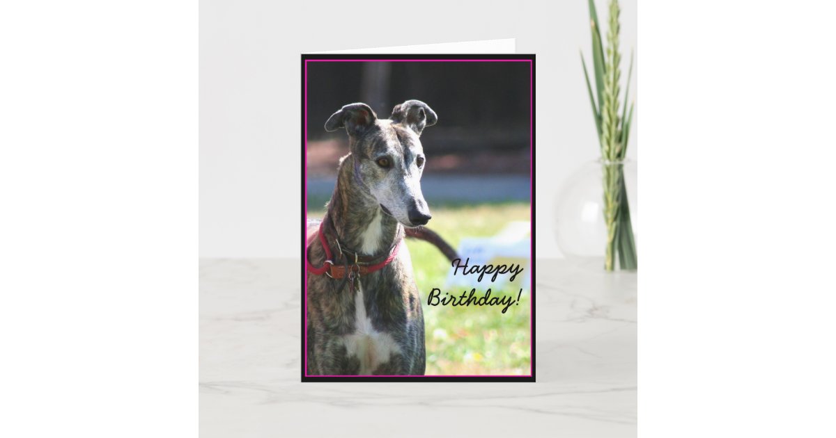 Happy Birthday Greyhound greeting card | Zazzle.co.uk