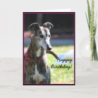 Happy Birthday Greyhound greeting card