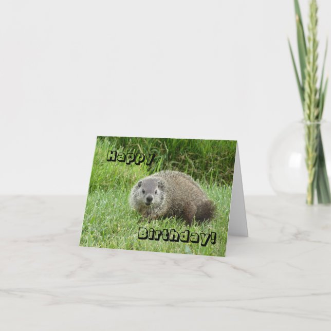 Happy Birthday groundhog Card (Front)