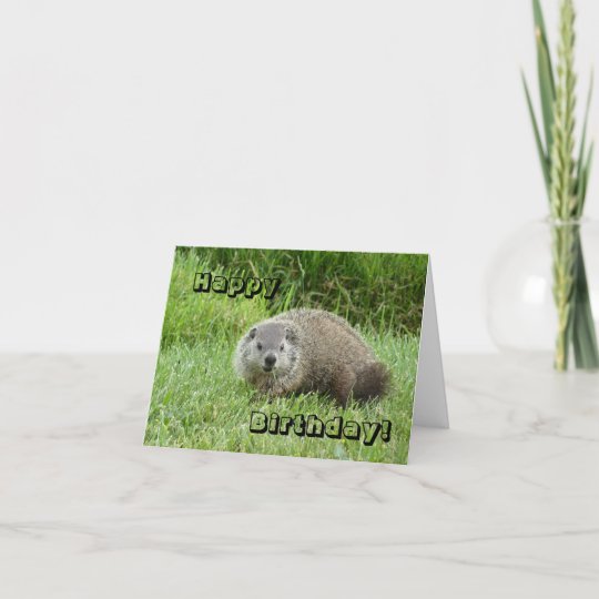 Happy Birthday groundhog Card | Zazzle.co.uk