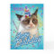 Happy Birthday Grumpy Cat