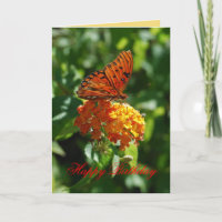 Happy Birthday Gulf Fritillary Butterfly,  Lantana
