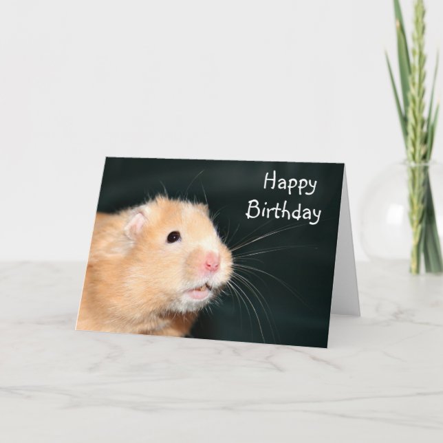 Happy Birthday hamster Card (Front)