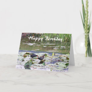 Happy Birthday Hawaiian Common Moorhen, Lily Pond Card