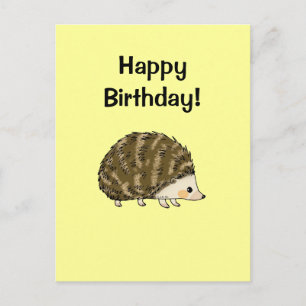 Happy birthday! (hedgehog) postcard
