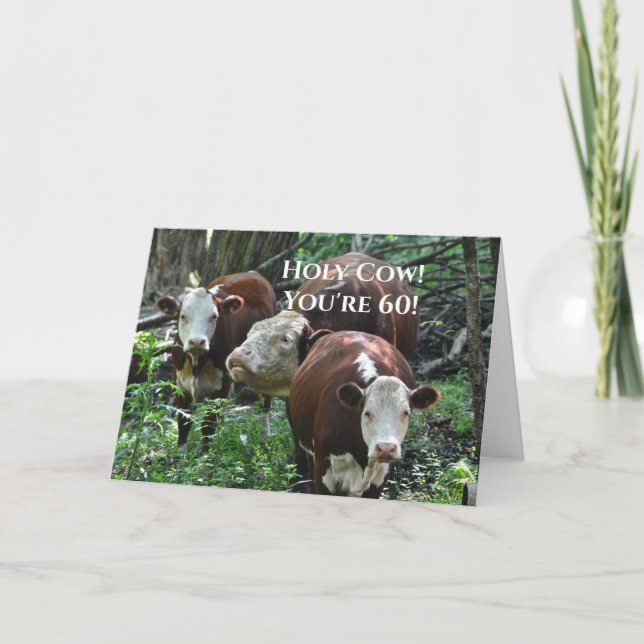 Happy Birthday Holy Cow! Holiday Card (Front)