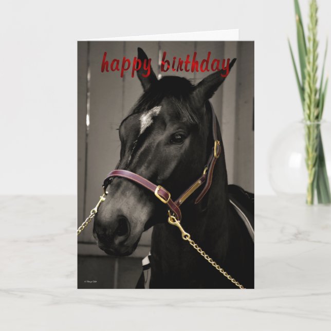Happy Birthday Horse Birthday card horse lovers (Front)