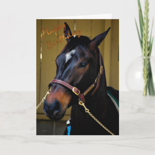 Happy Birthday Horse Birthday card horse lovers
