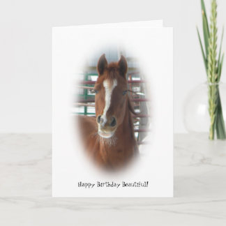Happy Birthday Horse Card