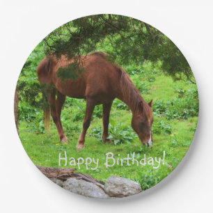 Happy Birthday Horse Paper Plate