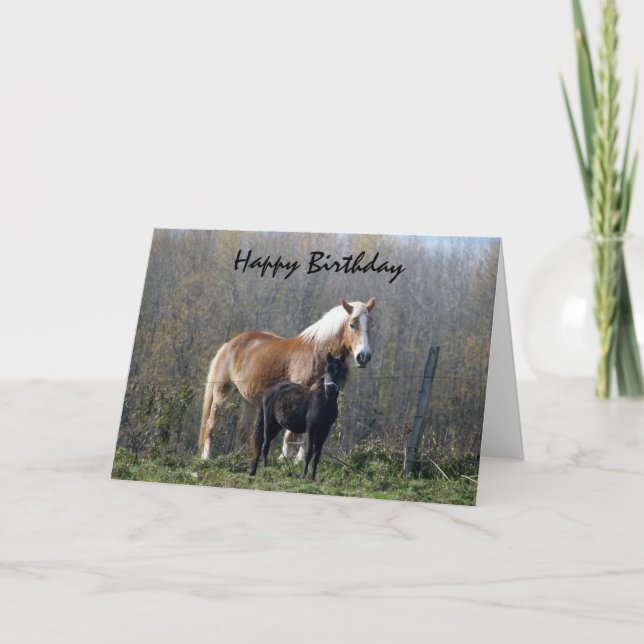 Happy Birthday Horses Card (Front)
