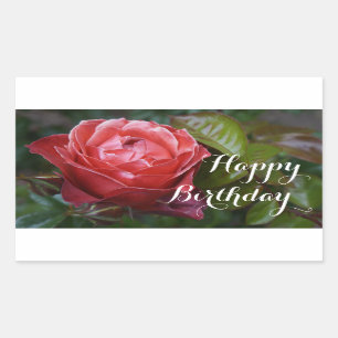 Happy Birthday Hot Cocoa Rose #2-2 Stickers