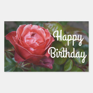 Happy Birthday Hot Cocoa Rose #2-3 Stickers