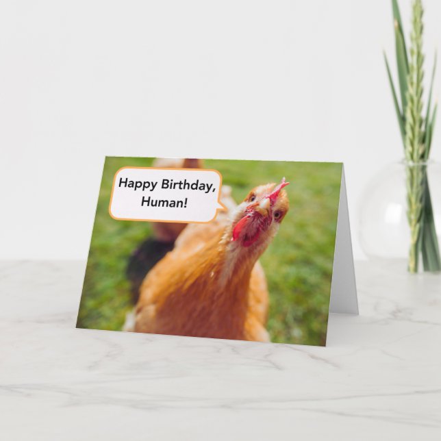 Happy Birthday Human Brown Chicken Hen Close-up Card (Front)