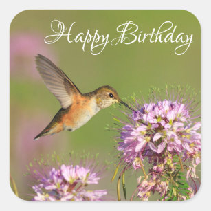 Happy Birthday Hummingbird and Wildflowers Square Sticker