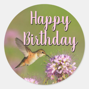 Happy Birthday Hummingbird Classic Round Sticker