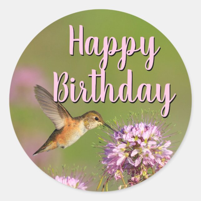 Happy Birthday Hummingbird Classic Round Sticker (Front)
