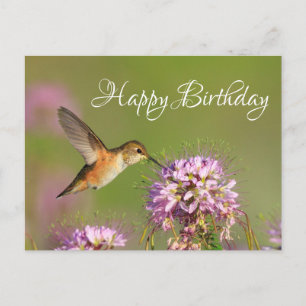 Happy Birthday Hummingbird Postcard