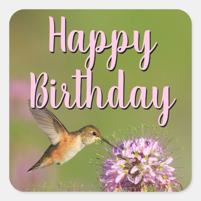 Happy Birthday Hummingbird Square Sticker (Front)